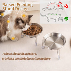 Meowgod gros plan inox SUS304 mettant en avant finition durable