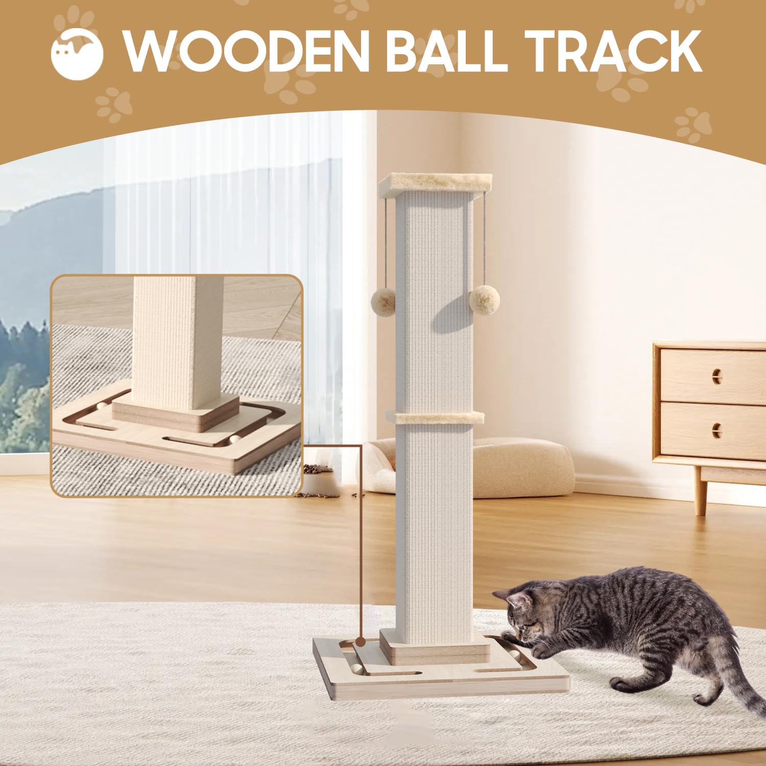 MeowHomm comparaison taille montrant dimension adaptée aux chats adultes
