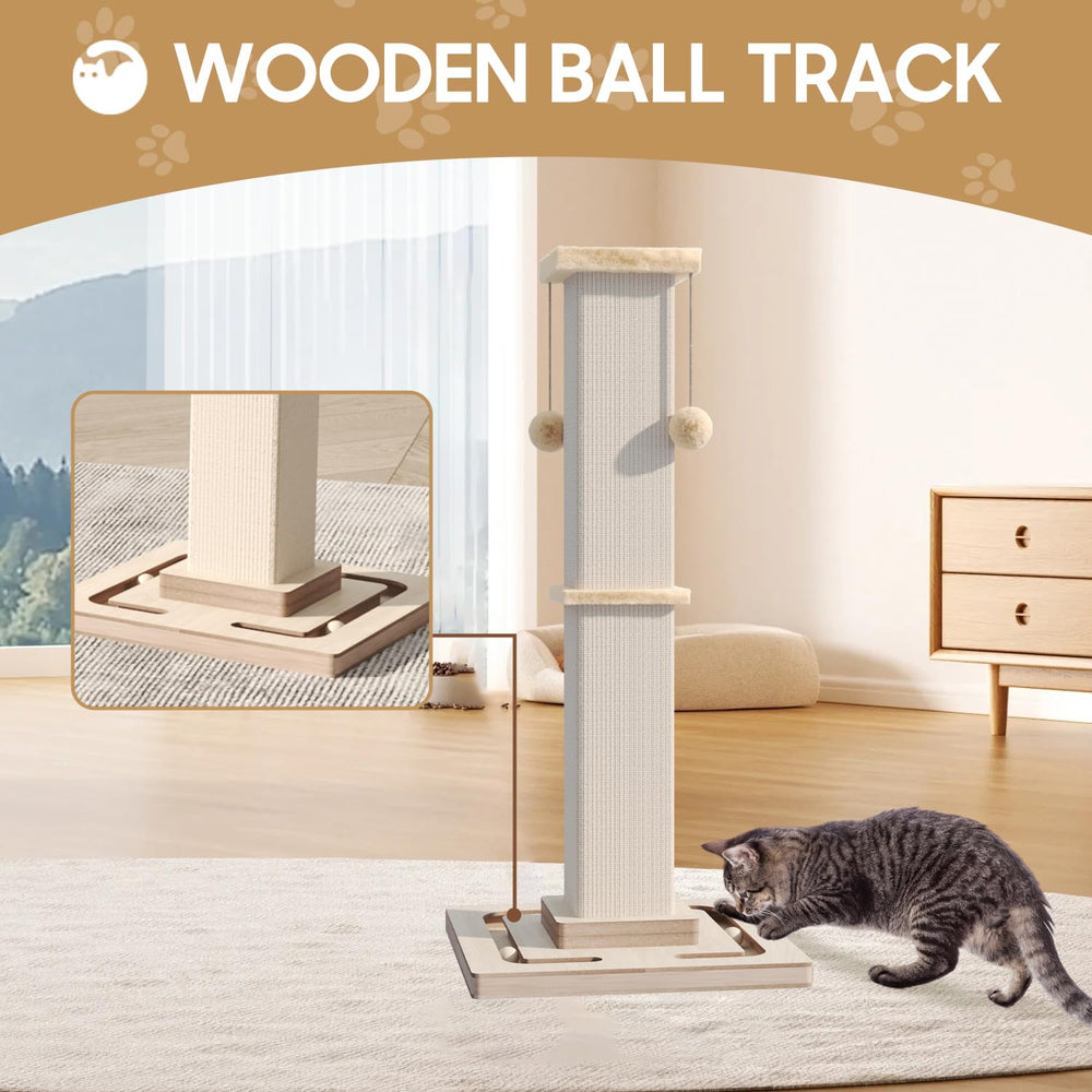 MeowHomm comparaison taille montrant dimension adaptée aux chats adultes