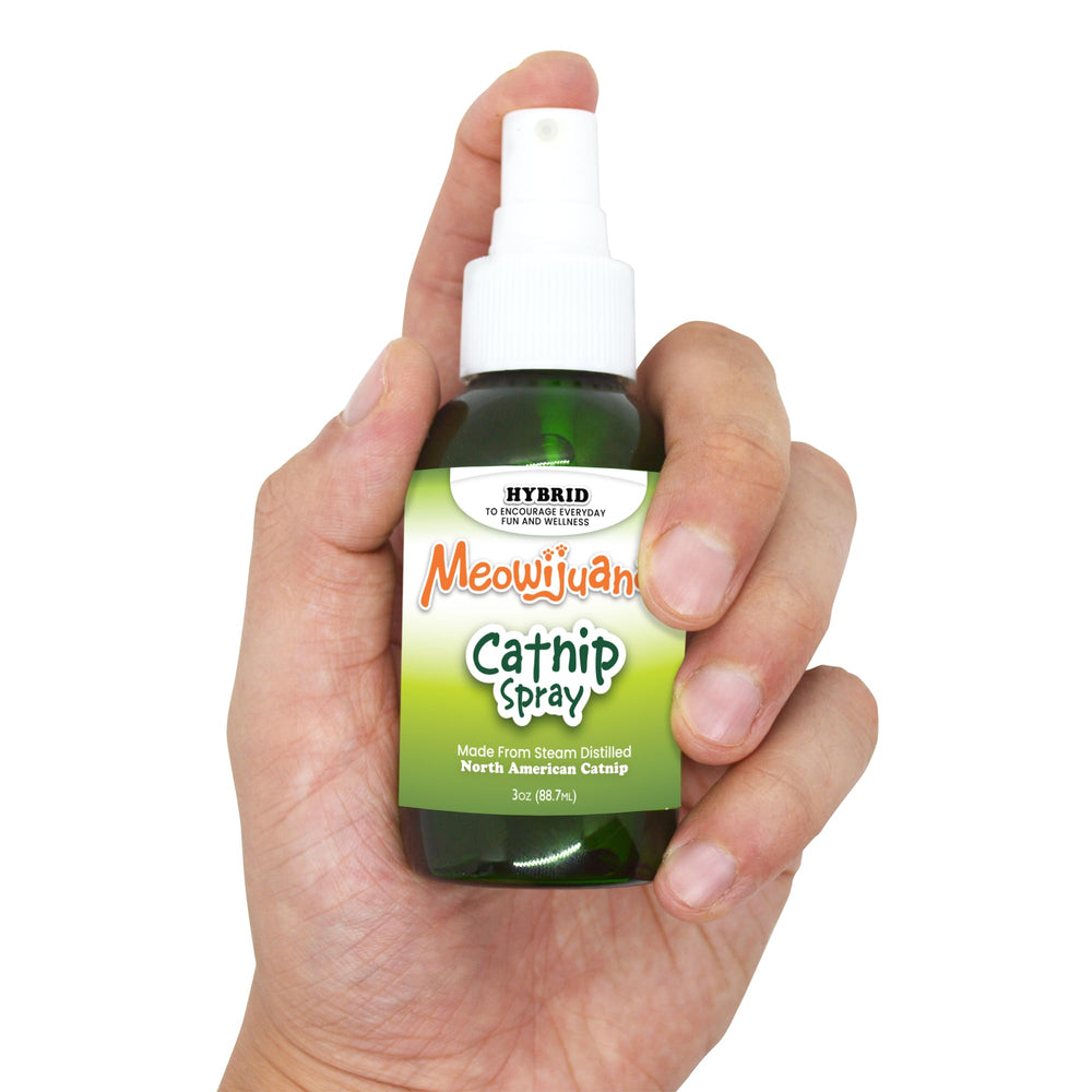 Meowijuana flacon à côté d'une règle montrant la taille compacte de 3 oz