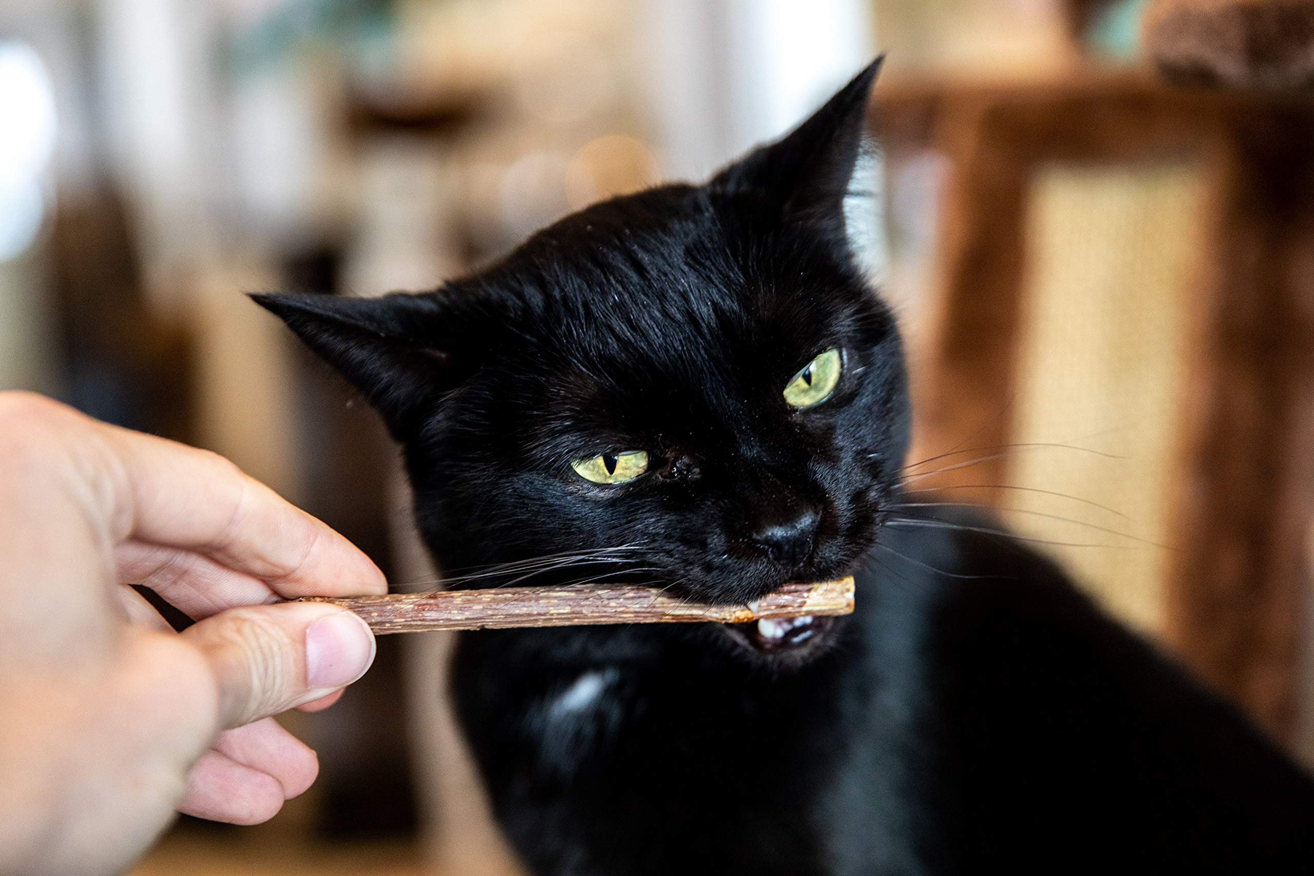 Meowy Janes étiquette ingrédients montrant la composition naturelle