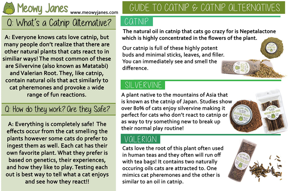 Meowy Janes scène sur canapé illustrant l’usage quotidien relaxant
