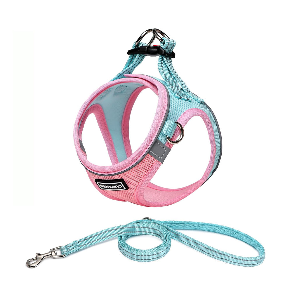 Mercano harnais face avant montrant coupe et confort pour promenades