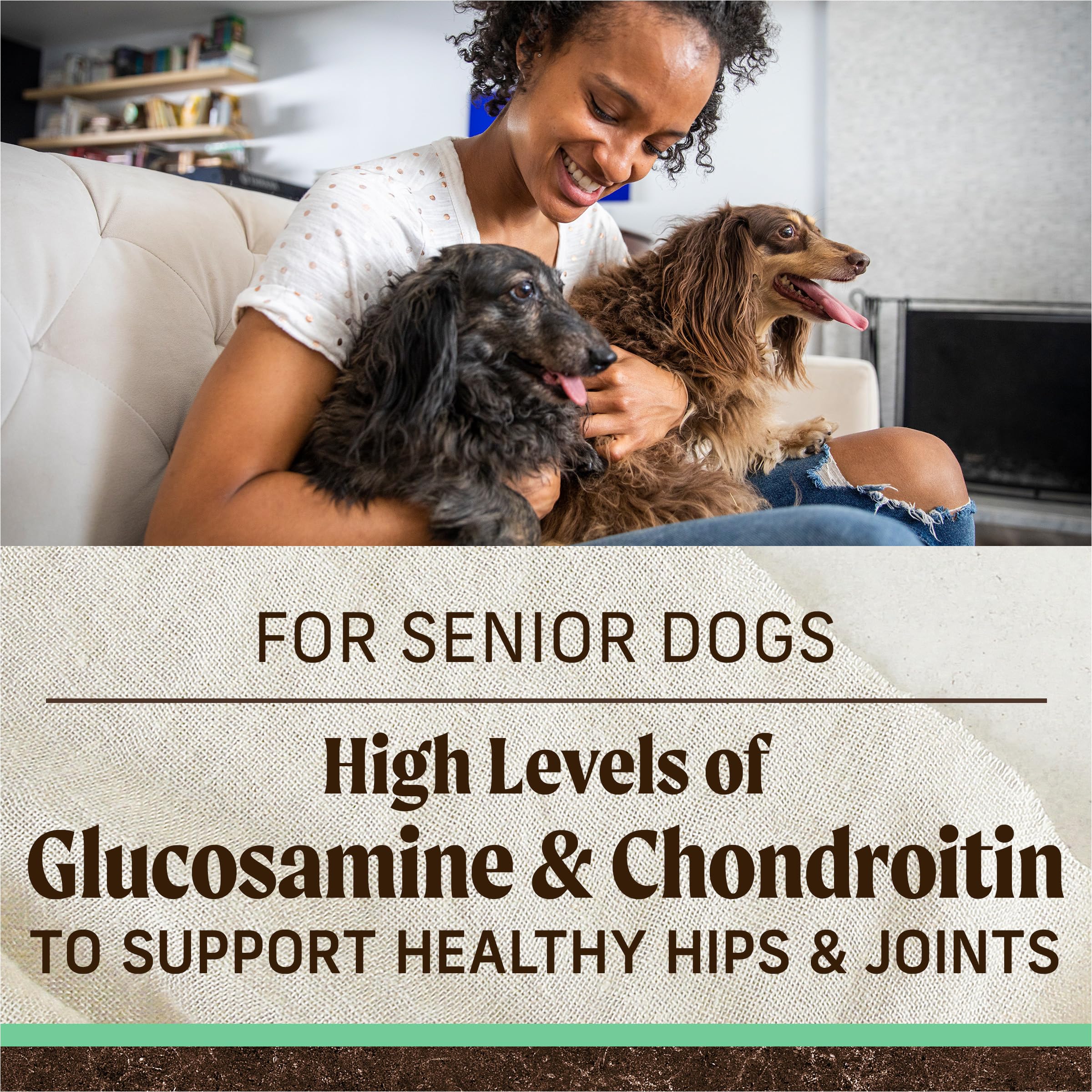 Chien senior mangeant Merrick montrant appétence et maintien de la vitalité