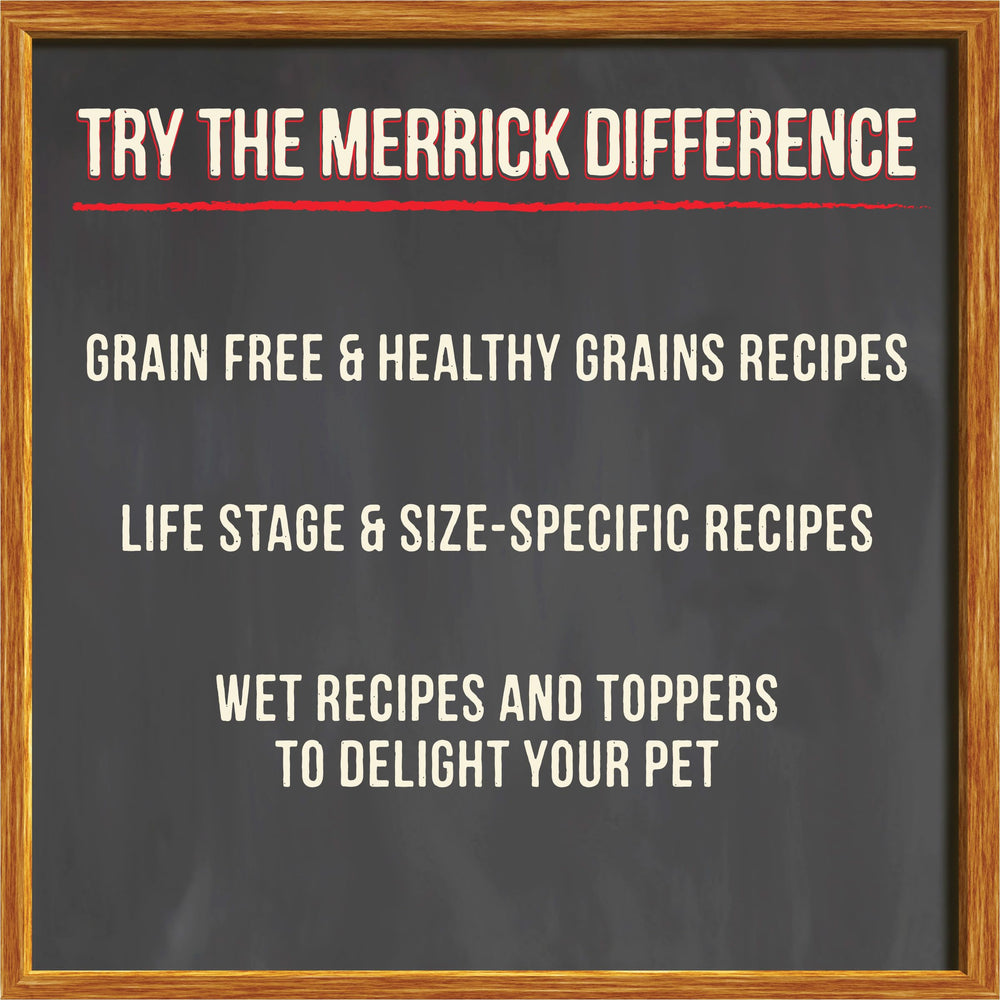 Merrick chien adulte mange pâté en intérieur, bénéfice attractivité pour l’animal