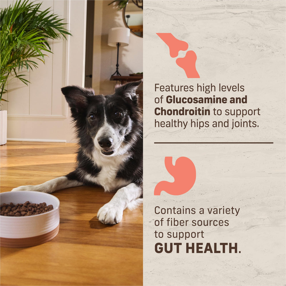 Merrick détail ingrédients glucosamine chondroïtine, soutien articulaire