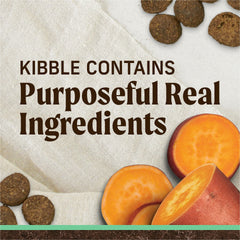 Merrick gros plan sur la texture des croquettes, favorise appétence et digestion