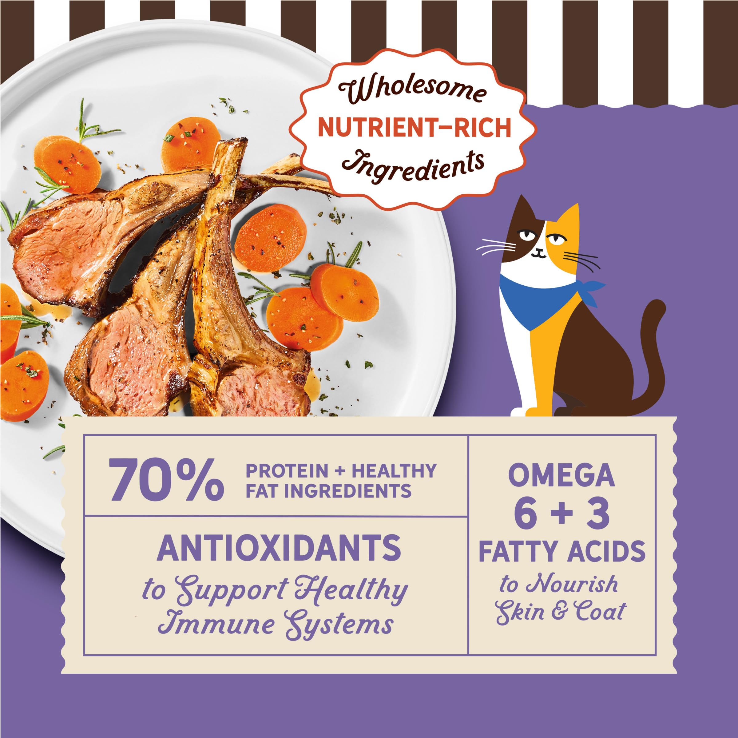 Merrick gros plan des croquettes, texture appétissante et nutritive