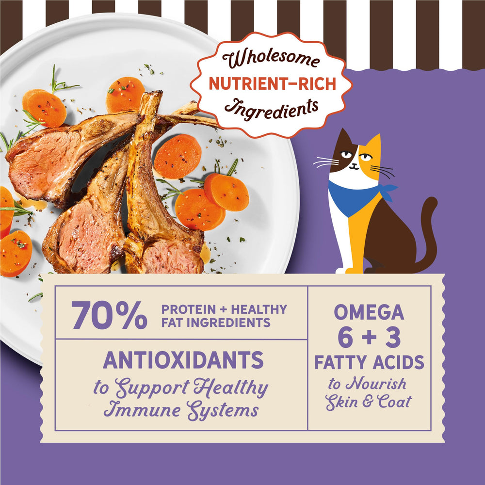 Merrick gros plan des croquettes, texture appétissante et nutritive