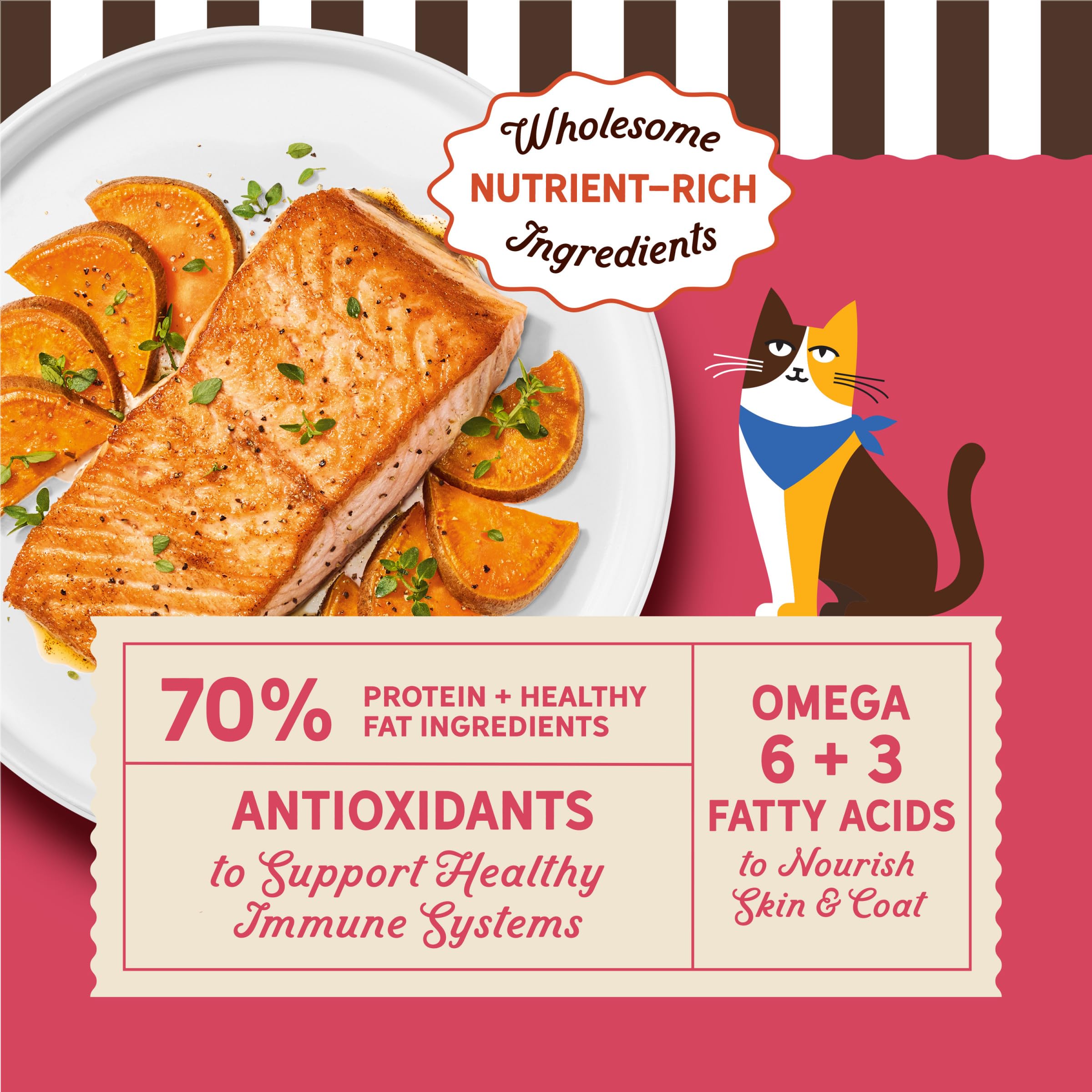 Merrick gros plan sur texture des croquettes pour meilleure mastication