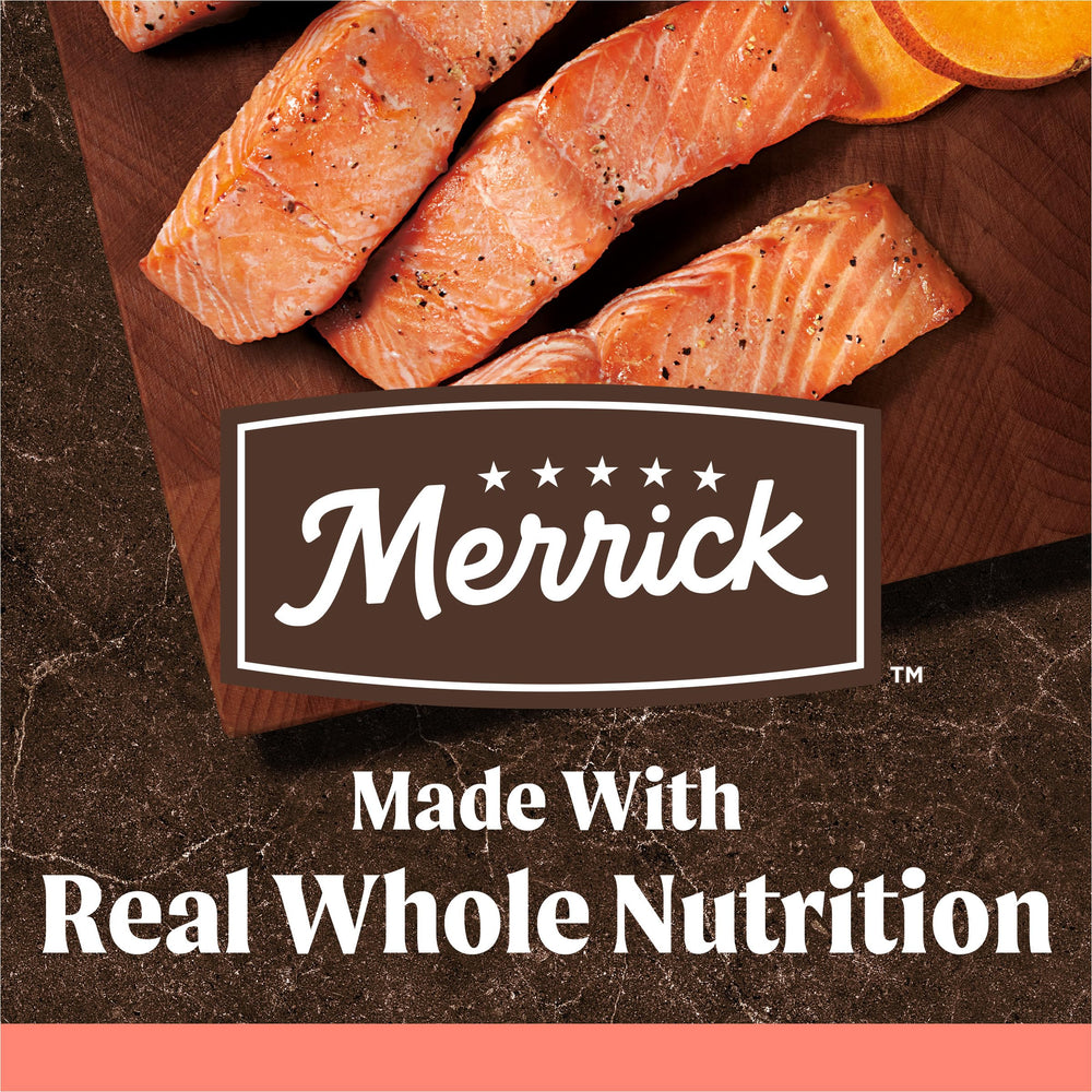 Merrick gros plan croquettes montrant texture et appétence améliorée