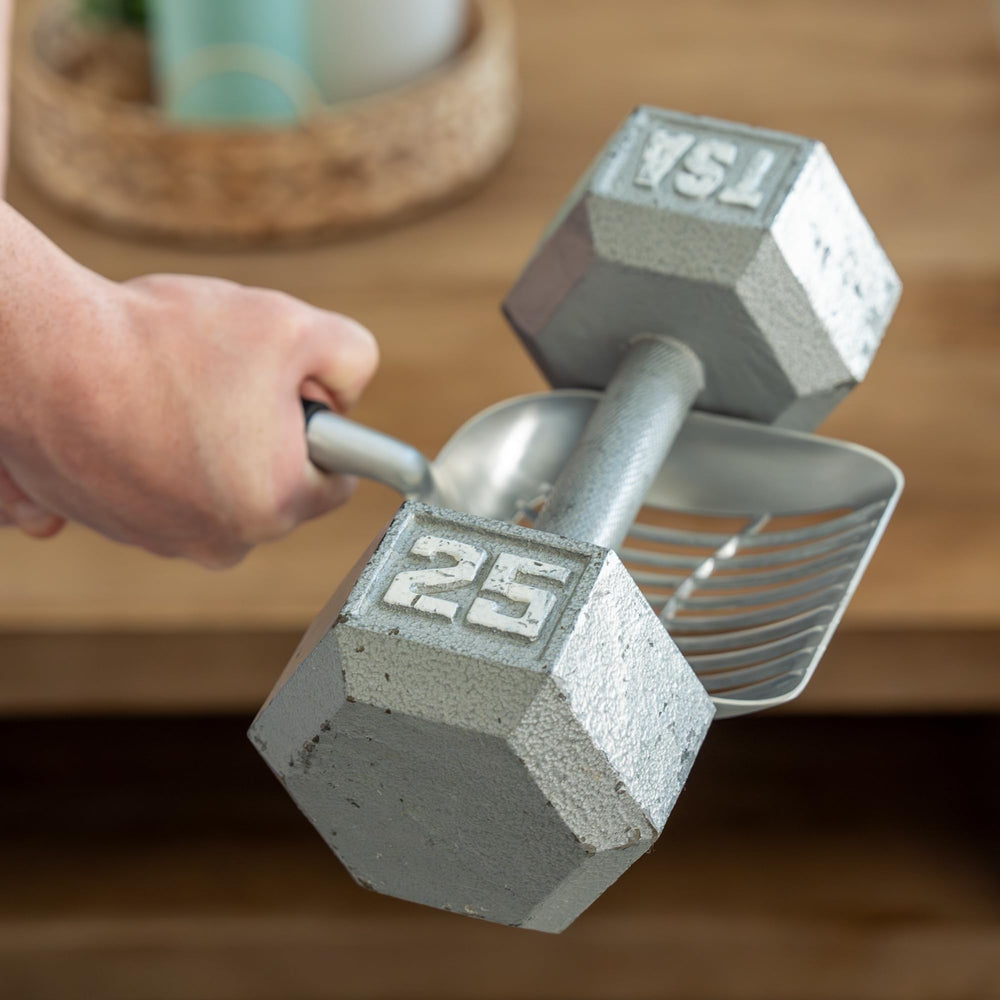 Mess & Matter comparaison de taille illustrant dimensions et échelle pratique