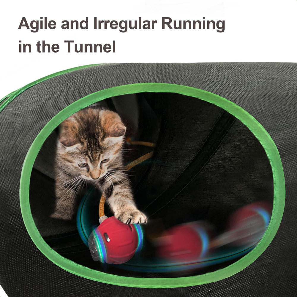 metiya tunnel en usage avec chat jouant pour stimulation active