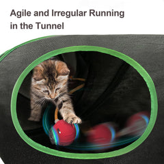 metiya tunnel en usage avec chat jouant pour stimulation active