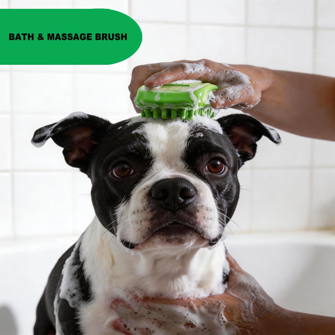 Metopets brosse curry gros plan des picots en caoutchouc pour massage doux