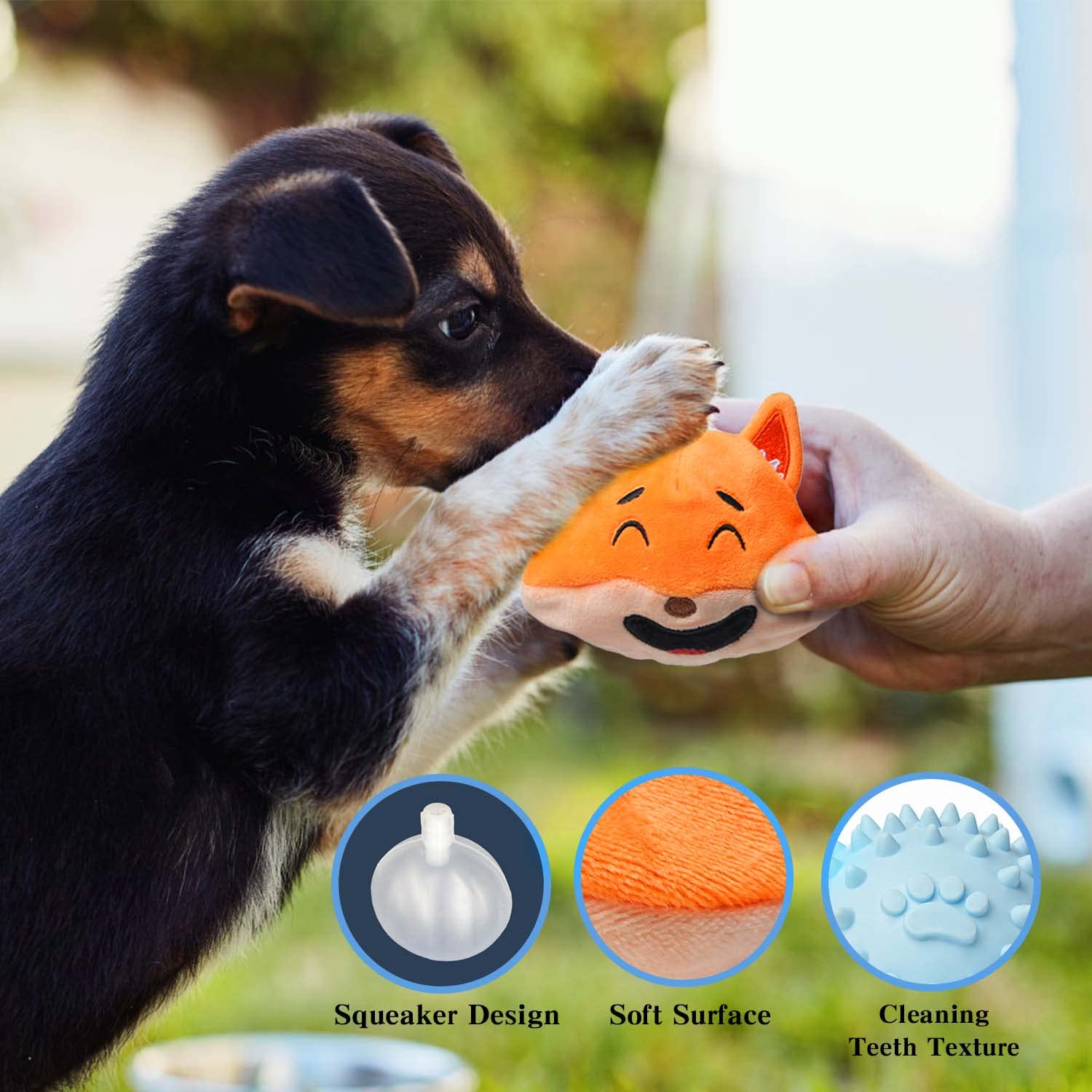 MewaJump comparaison taille versus main pour évaluer l’adaptation au chien