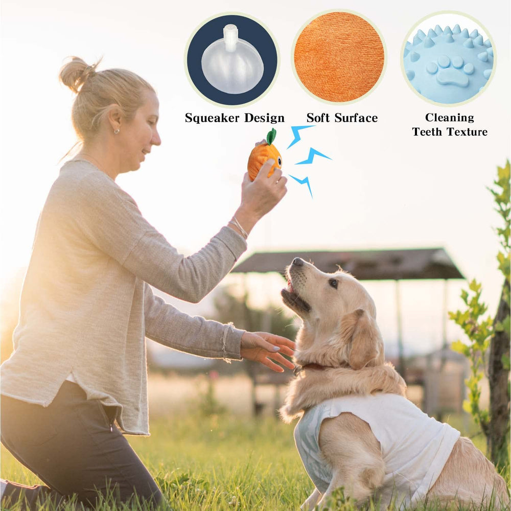 MewaJump comparaison de taille à la main montrant échelle adaptée chiots