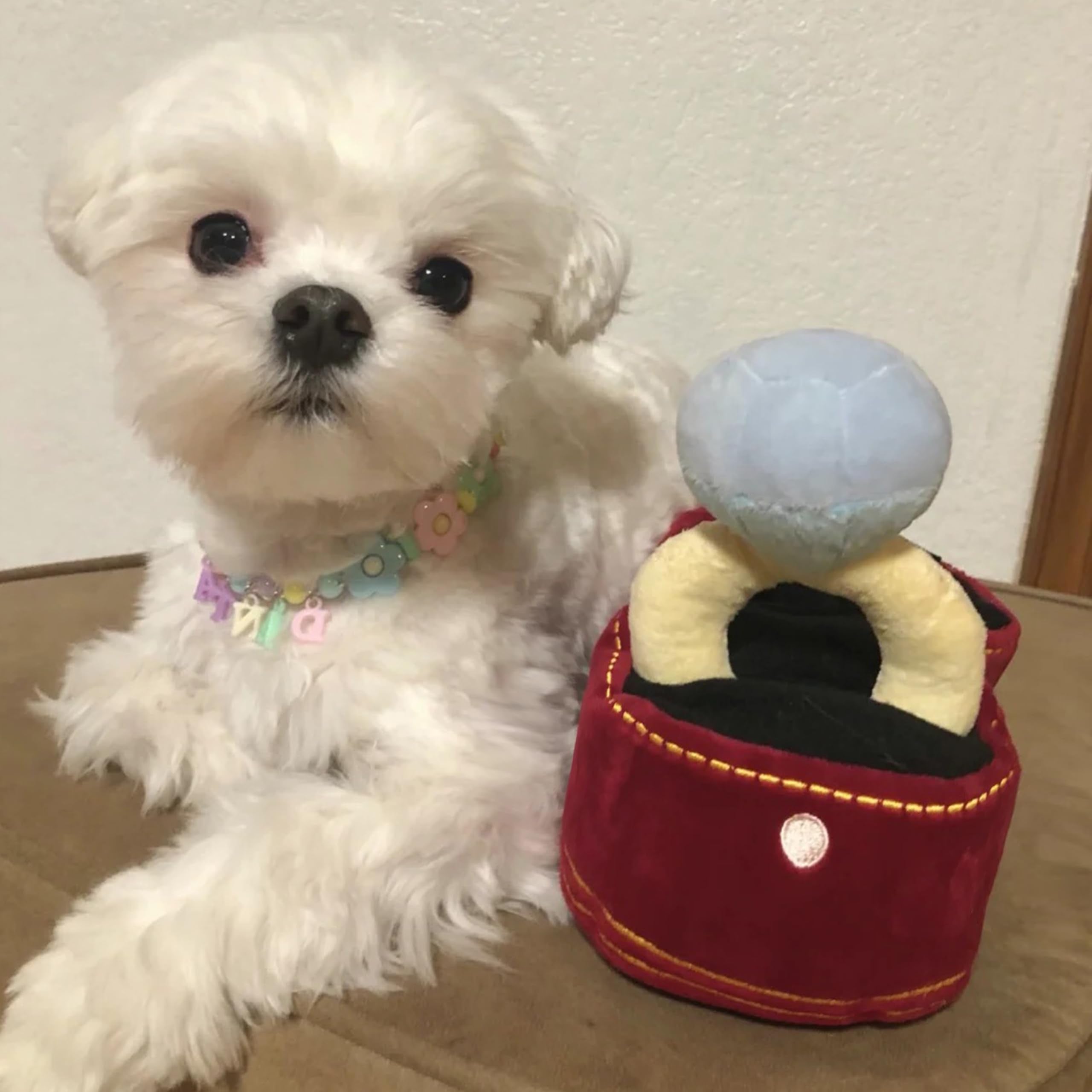 Mewcho étiquette et label détail matériau peluche confortable