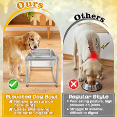 MEWTOGO gamelle utilisée par grand chien améliorant posture et confort