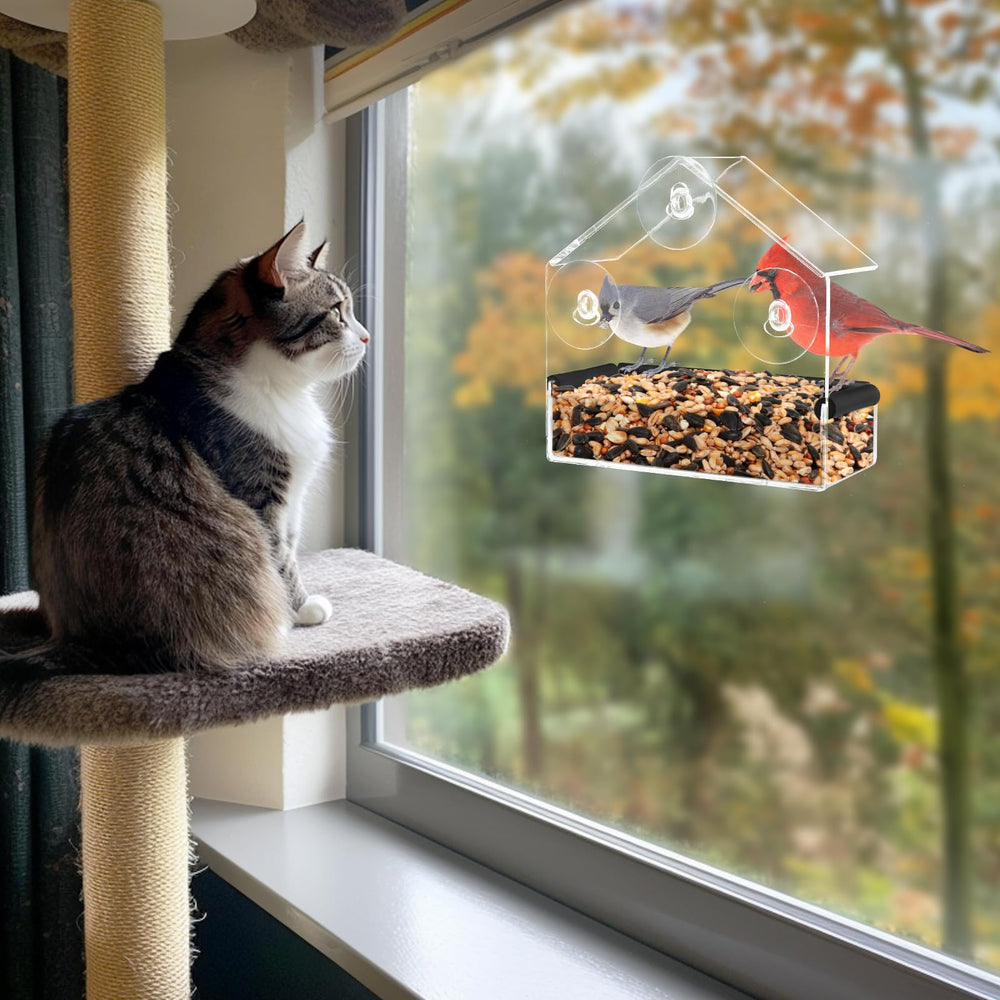 MEWTOGO emballage cadeau élégant prêt à offrir, idéal pour amateurs d'animaux