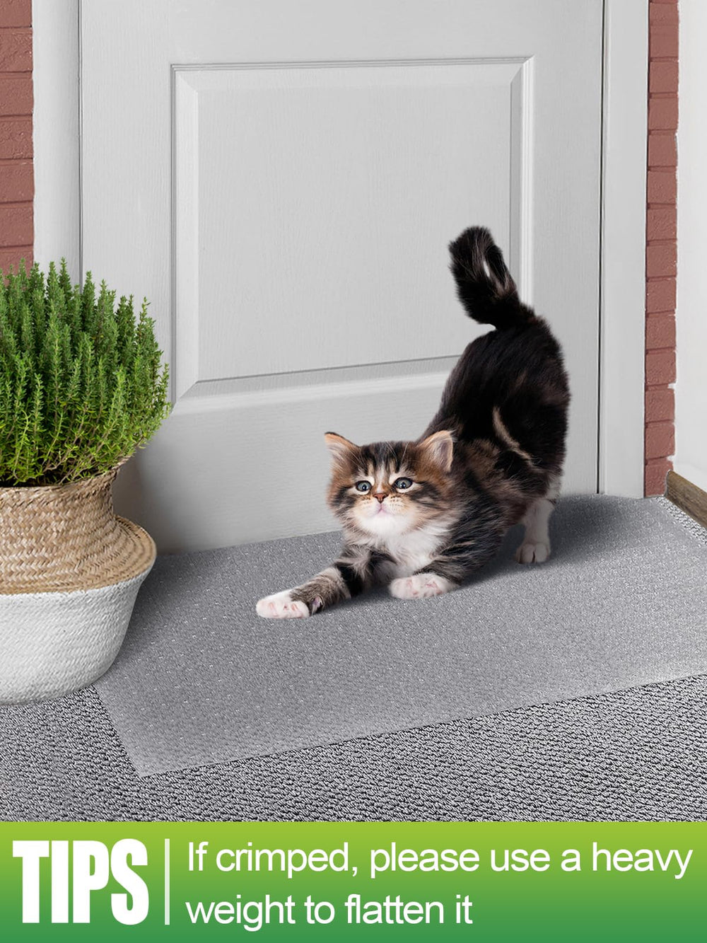 MEWTOGO en salon, protège tapis tout en restant discrètement esthétique