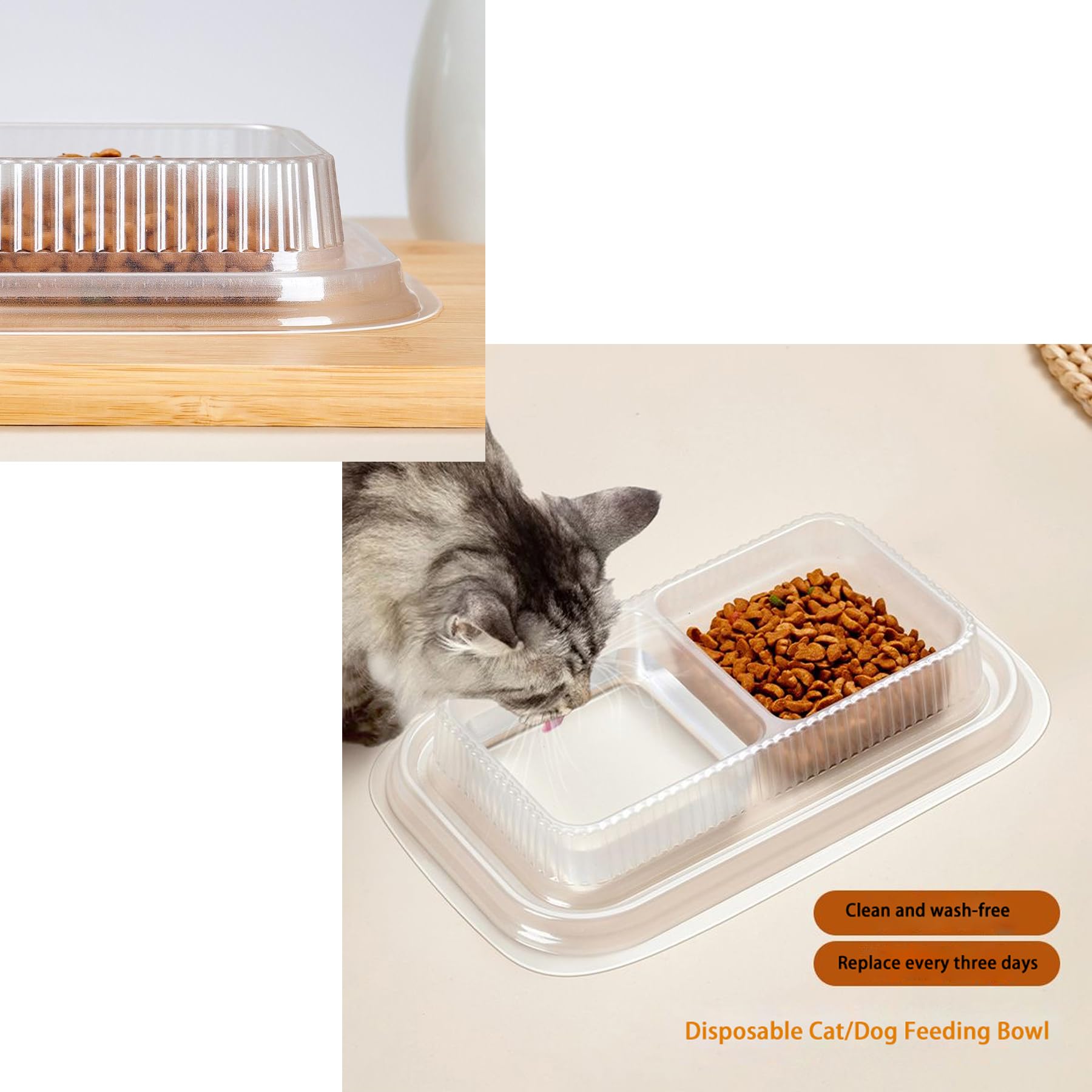 MEYAGO bol utilisé par un chat illustrant confort et propreté