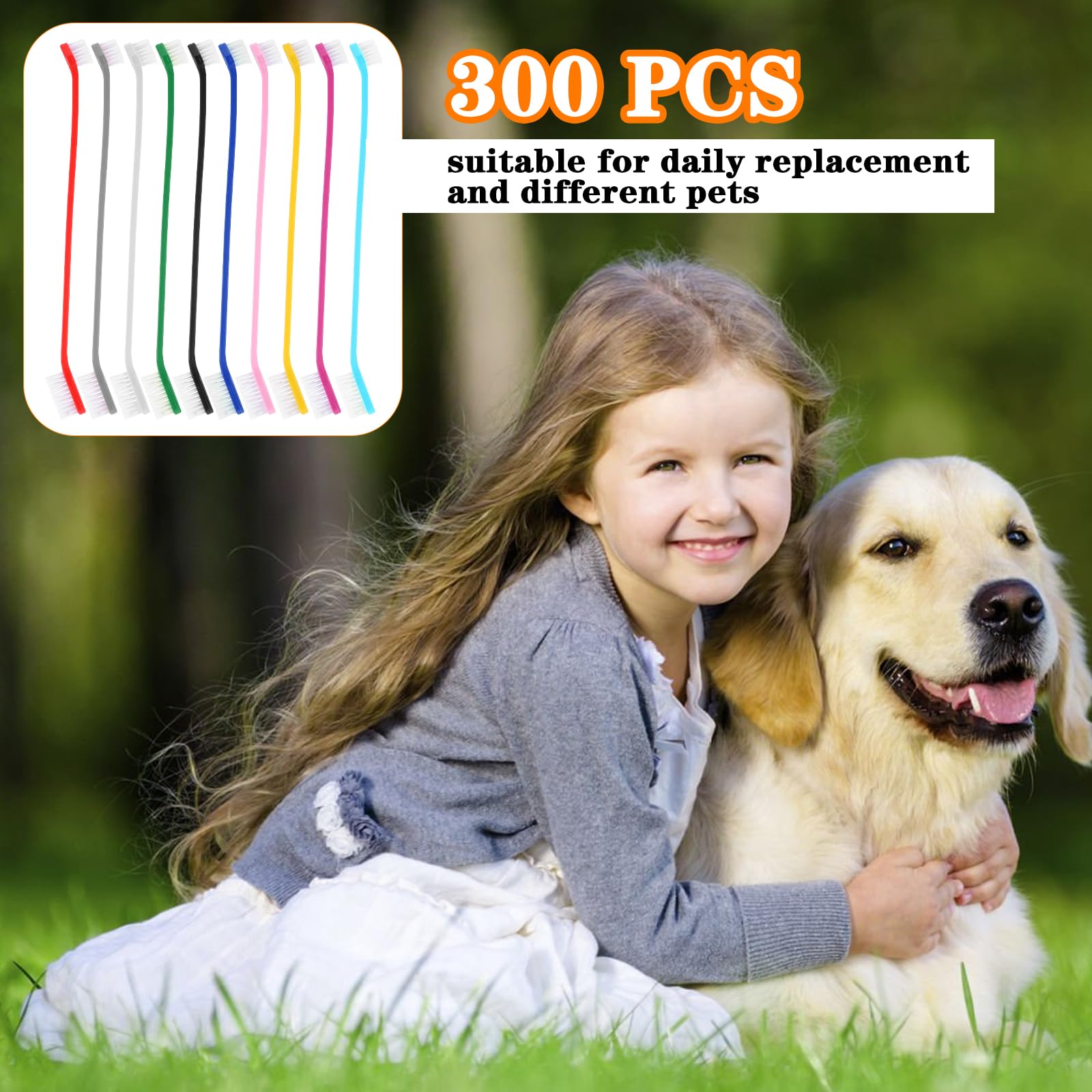 Meyeyaia brosse utilisée sur chien grande bouche, accès aux molaires