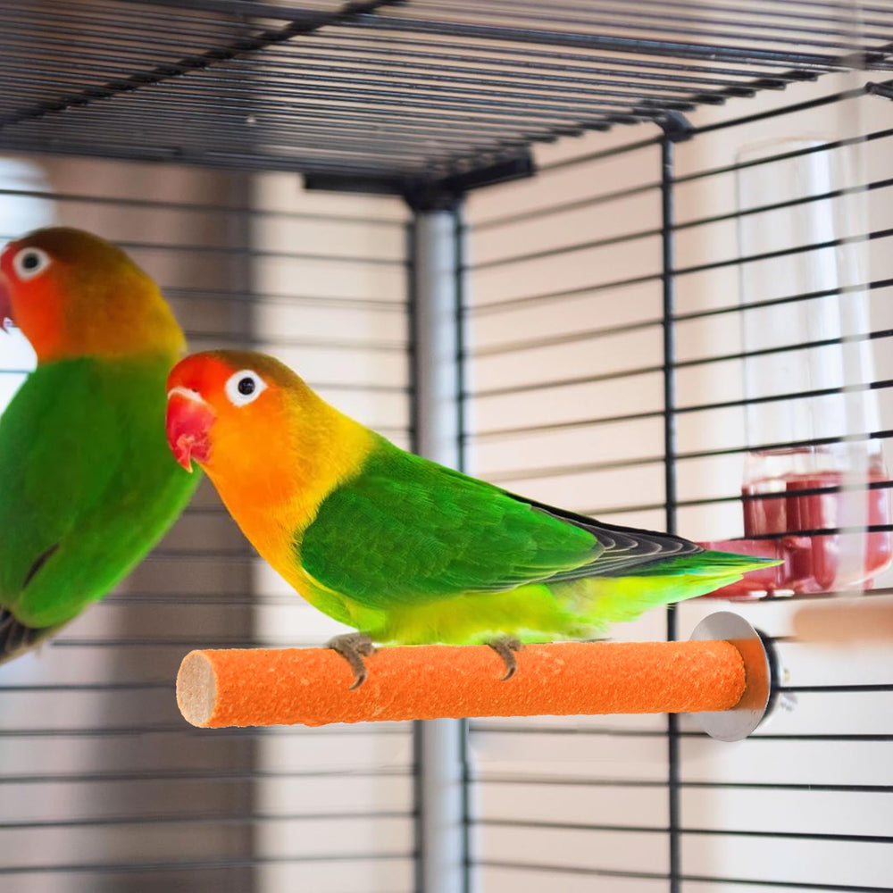 Mezchi oiseau utilisant perchoir stimulant l'exercice et le jeu