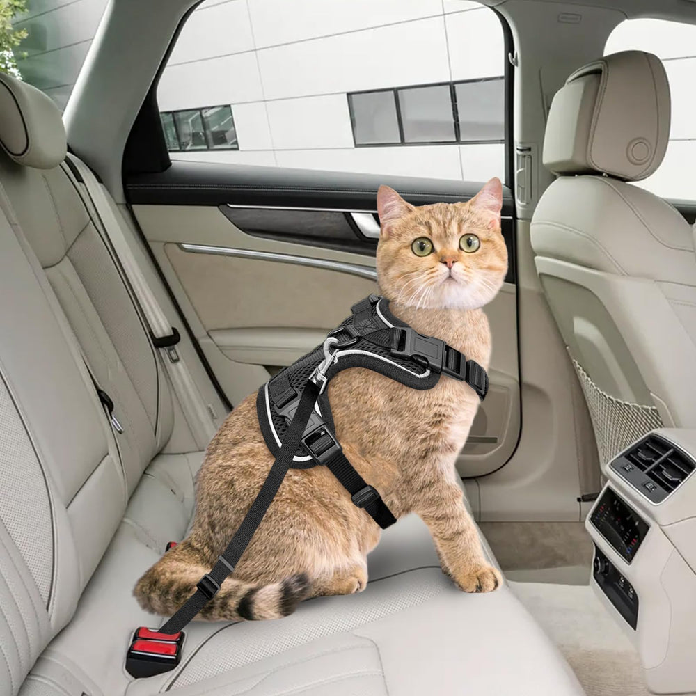 MHHYQF connecteur de ceinture auto réduisant mouvements en voiture