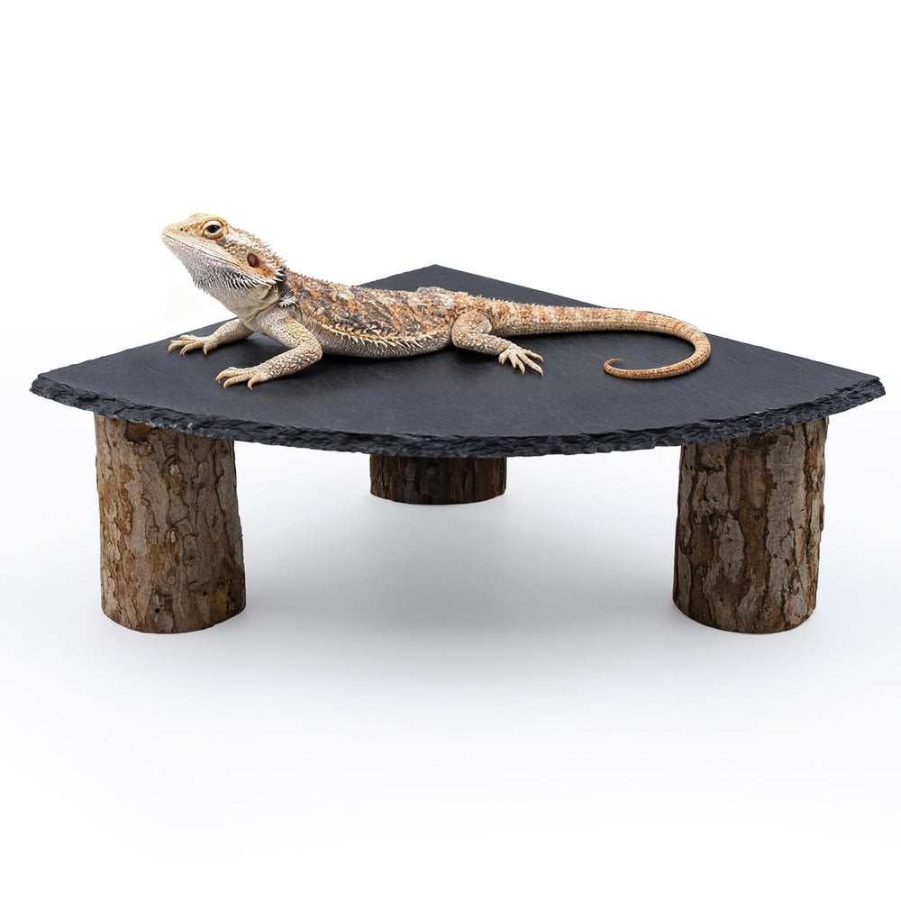 MHLLGN plateforme face montrant ardoise et support en bois, robustesse visuelle