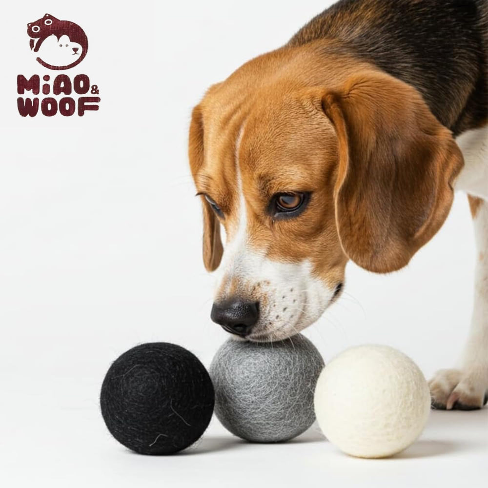 Miao and Woof trois balles posées sur pelouse, stimulation et jeu actif