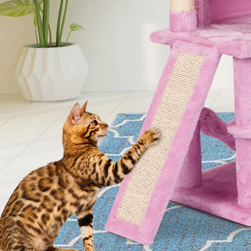 MIAO PAW chaton utilisant l'échelle, encourage jeu actif