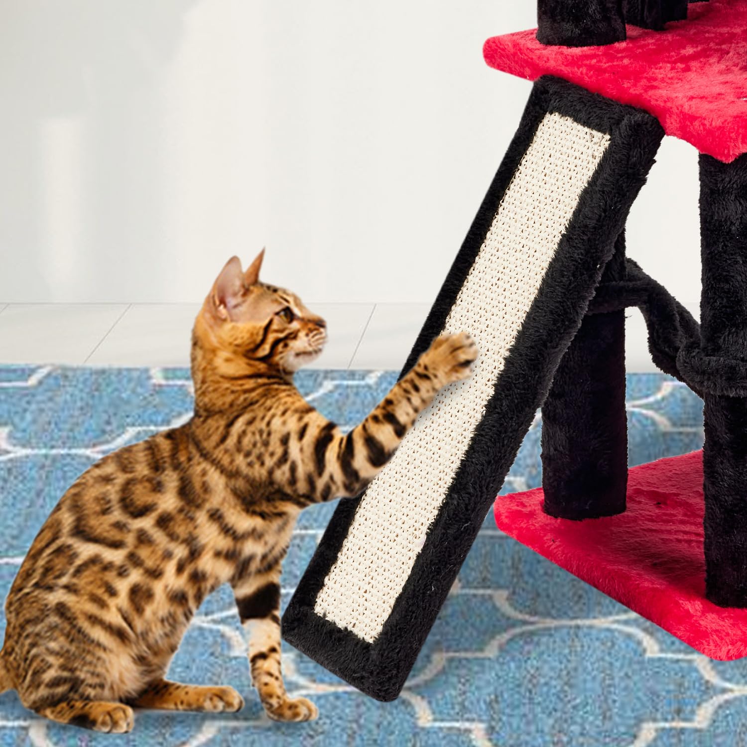 MIAO PAW échelle montrant dimensions, aide à choisir emplacement adapté