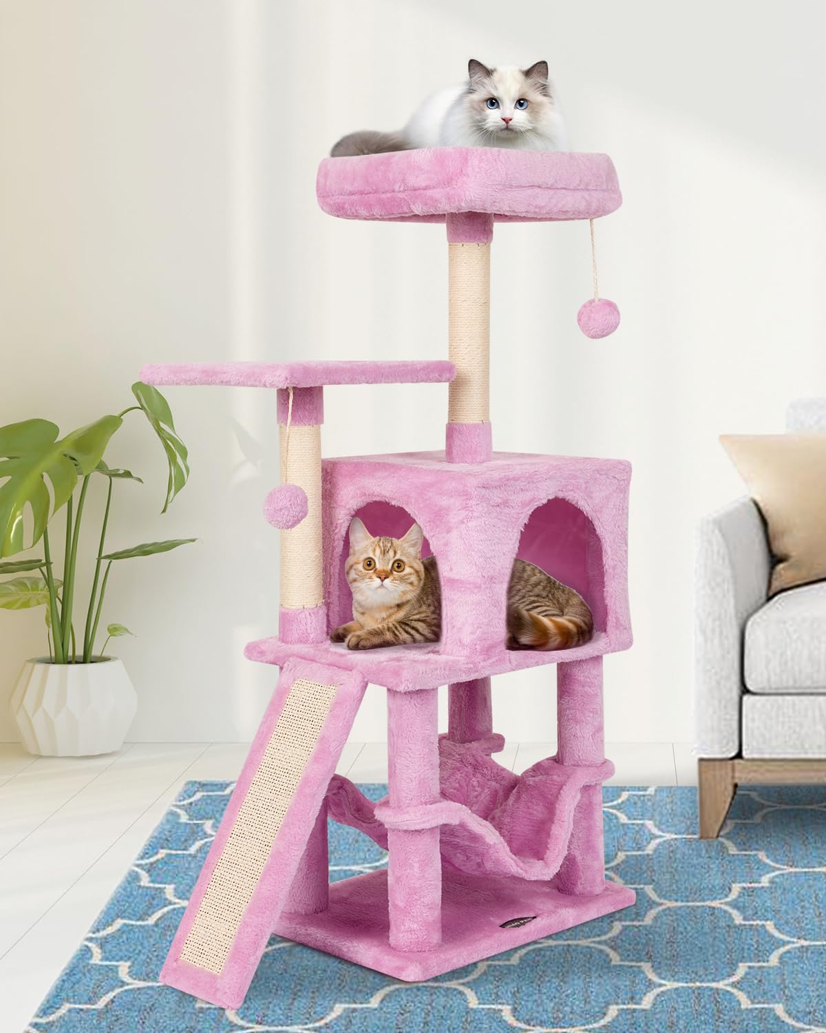 MIAO PAW face avant de l'arbre à chat, stabilité et design compact