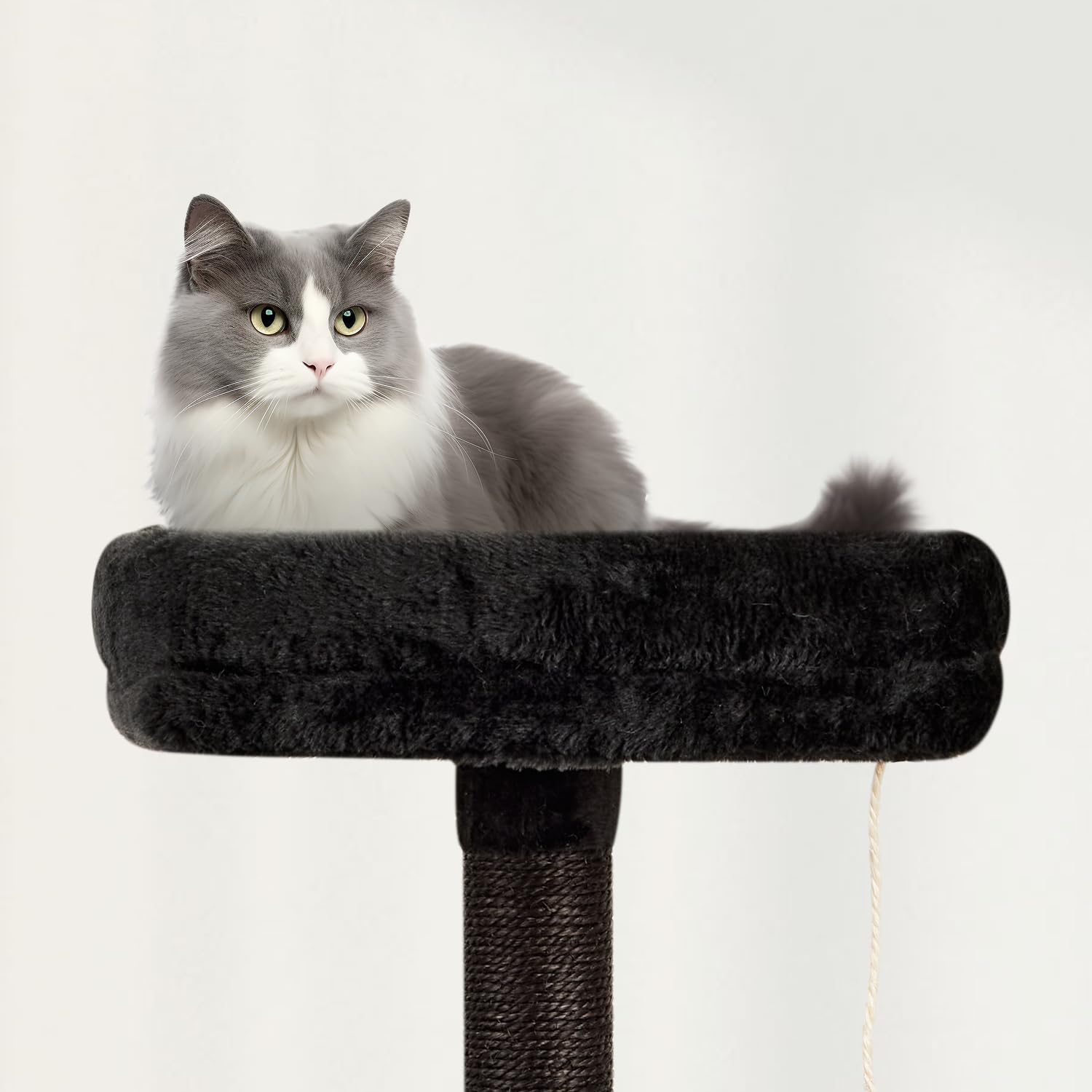 MIAO PAW perchoir supérieur occupé par chat, vantage point sécurisé