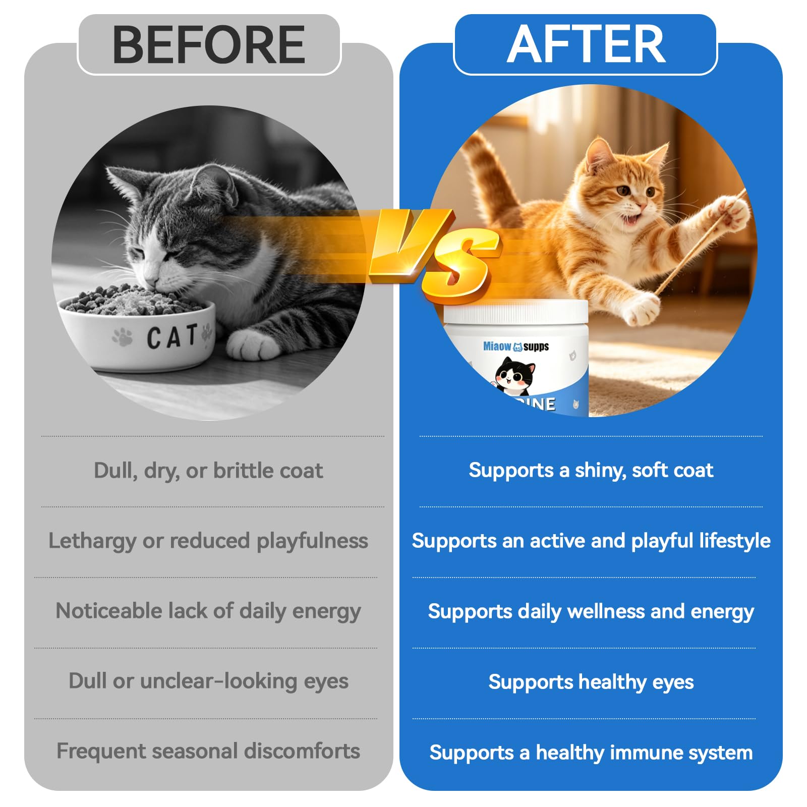 MIAOW SUPPS utilisé dans un foyer multi-chats pour un apport simple