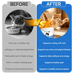 MIAOW SUPPS utilisé dans un foyer multi-chats pour un apport simple