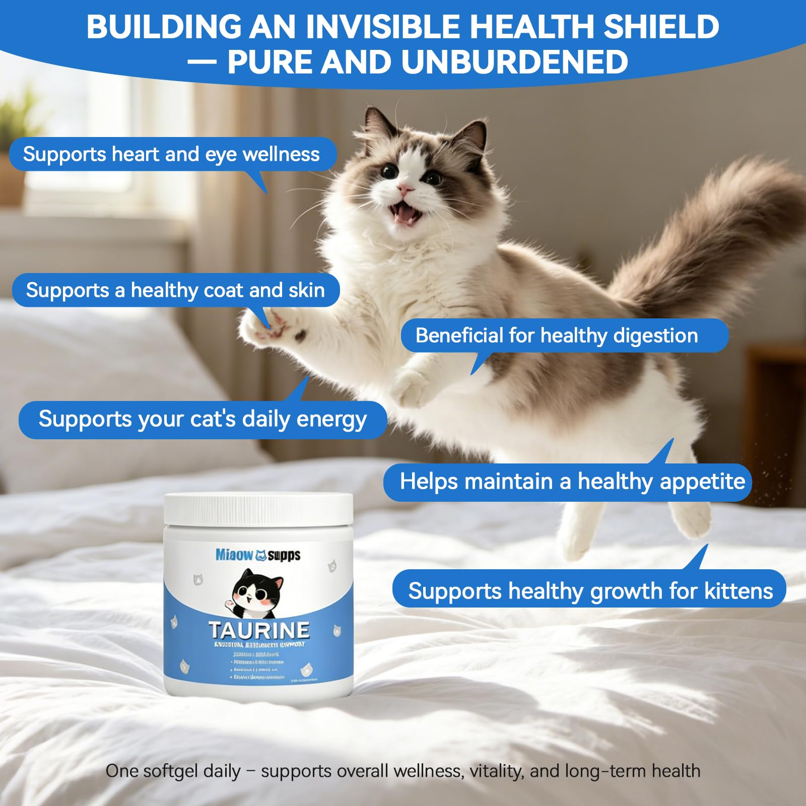 MIAOW SUPPS poudre gros plan montrant texture fine pour un mélange facile