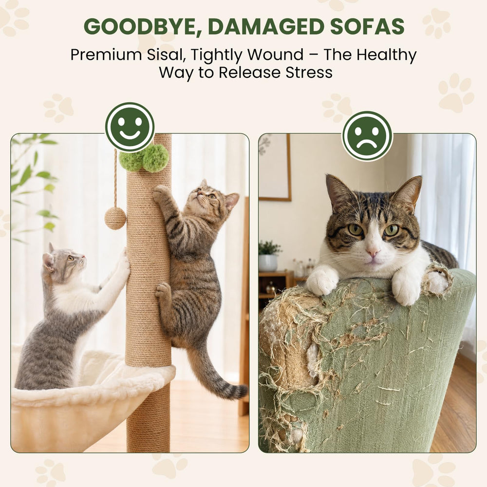 MIBOTE comparaison de taille avec chat montrant hauteur 35 pouces adaptée