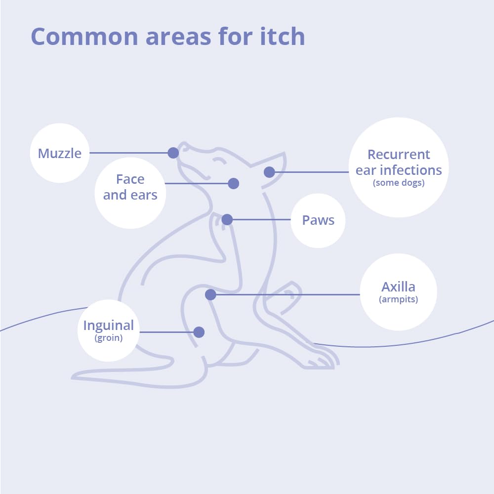 MiconaHex+Triz application sur chien montrant soin de la peau