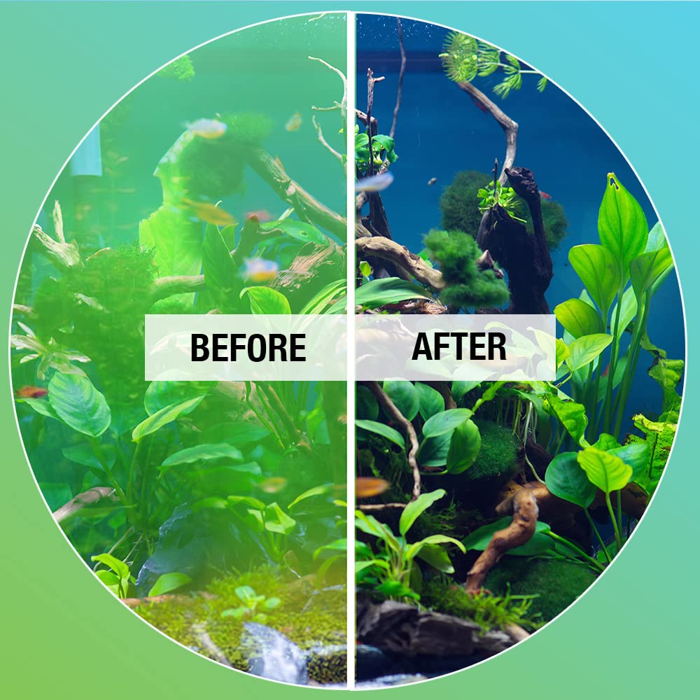 MICROBE-LIFT application dans un aquarium réduisant les algues pour une eau plus claire