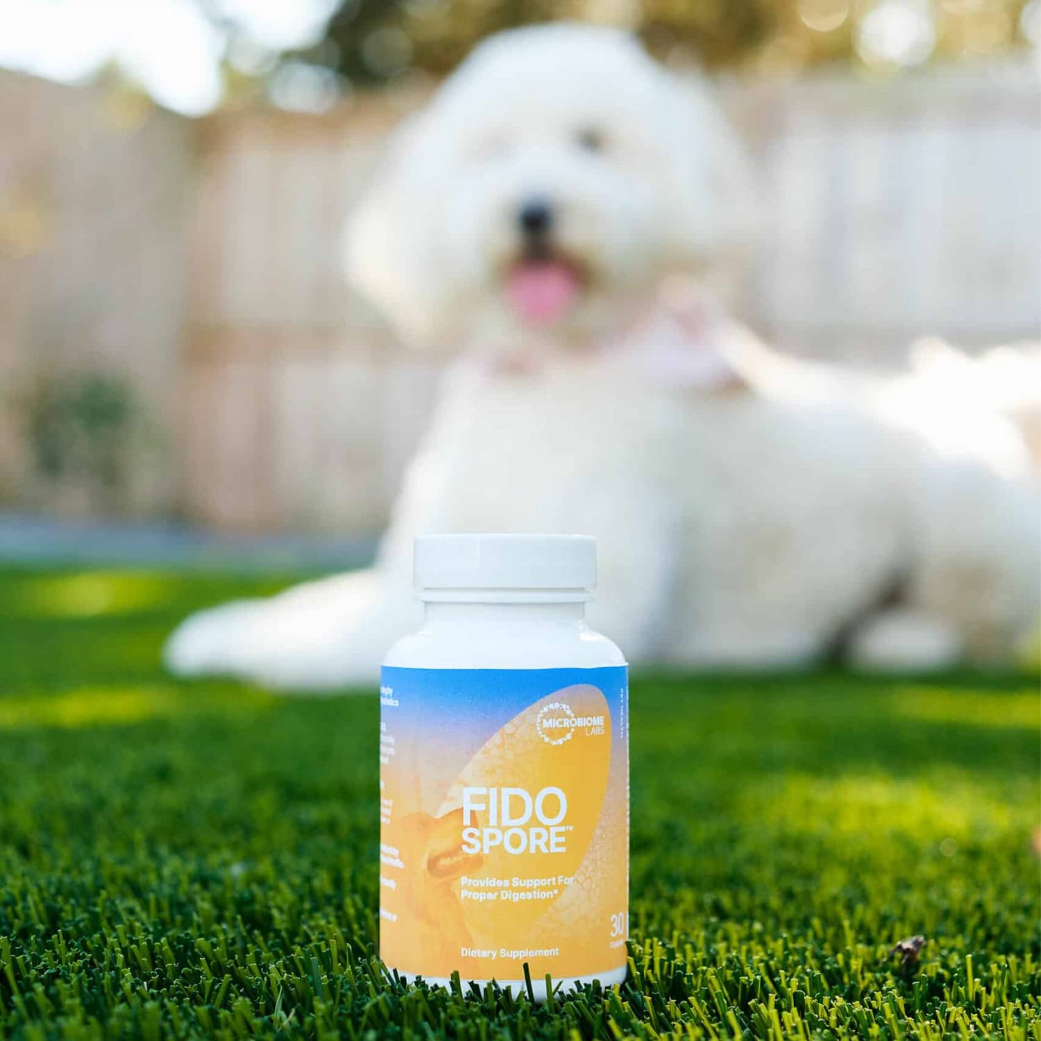 Microbiome Labs Fidospore chien reniflant nourriture avec produit pour meilleure appétence