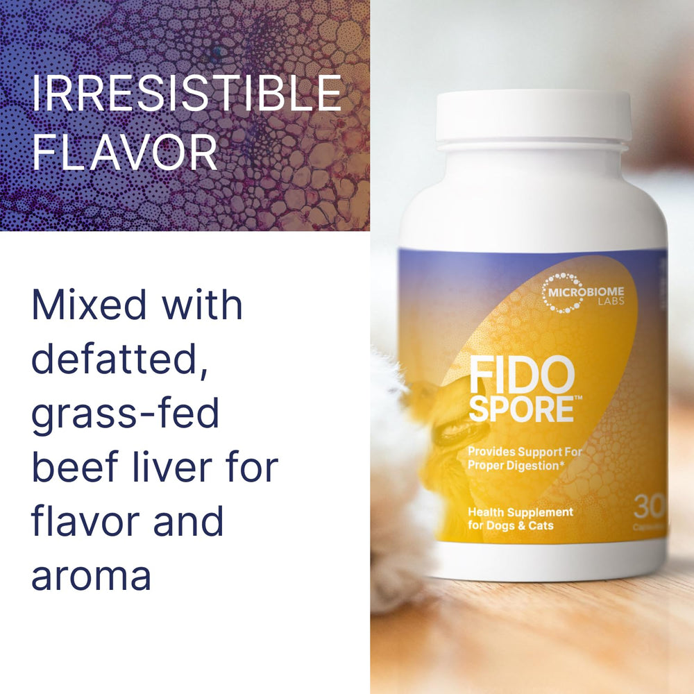 Microbiome Labs Fidospore bol de nourriture avec produit favorisant acceptation