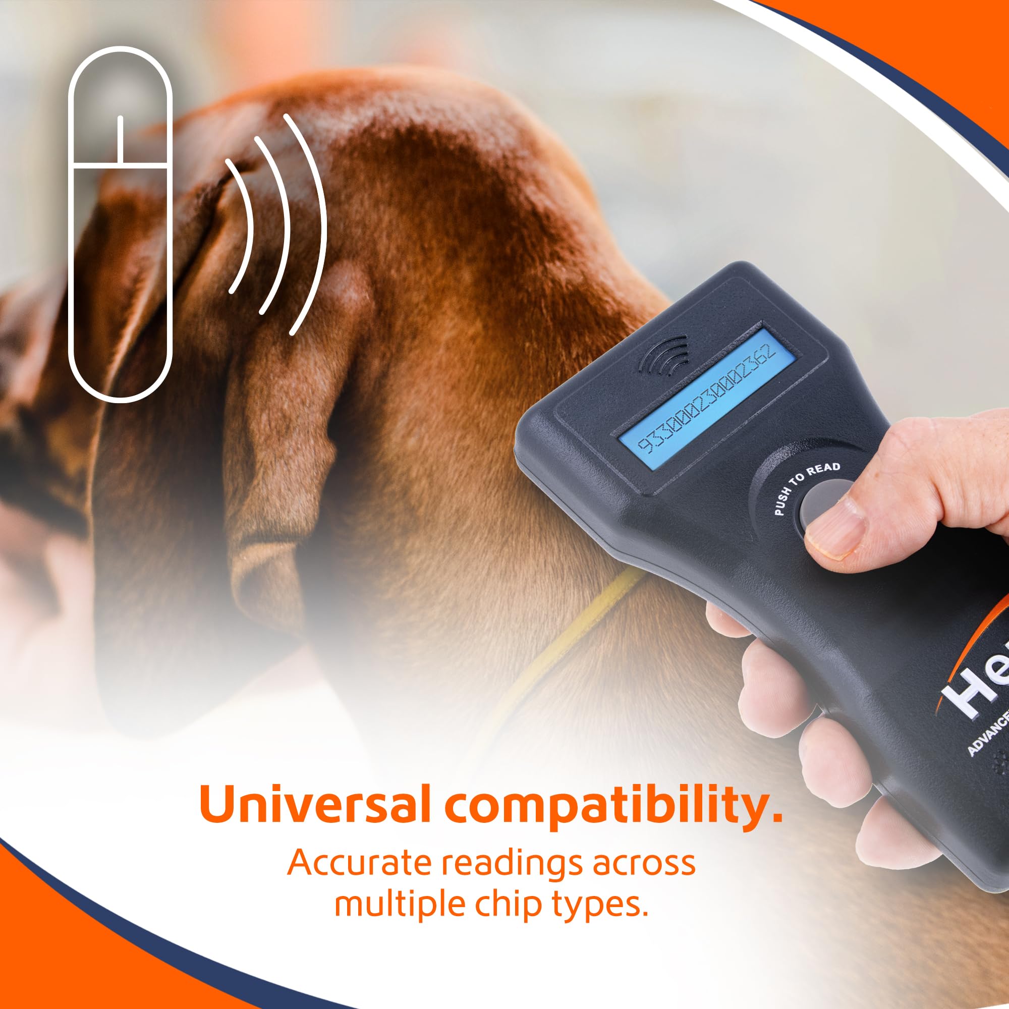 Microchip ID Hero gros plan sur puce montrée lisible afin d’identifier l’animal