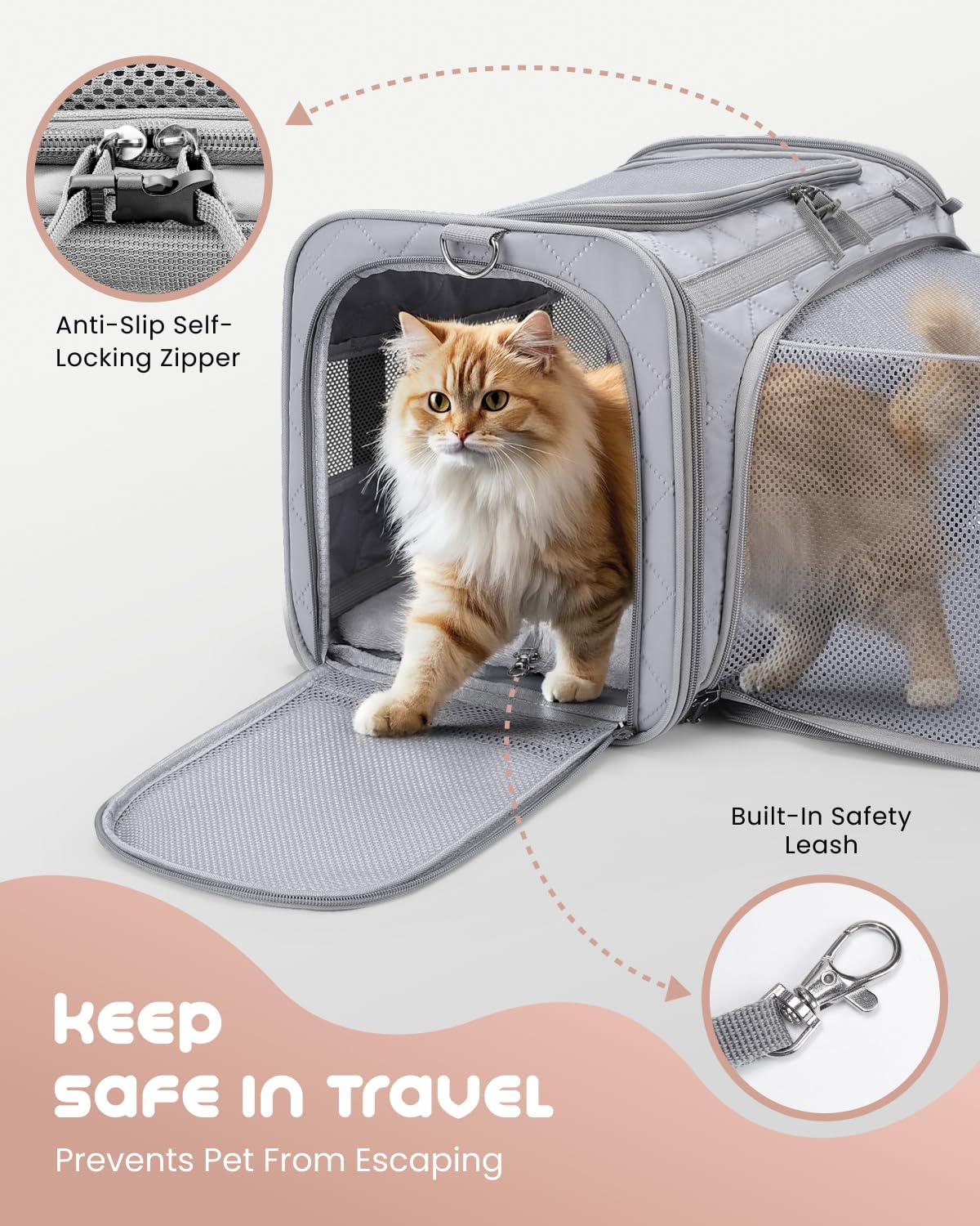 MIDOG chat à l'intérieur en voyage, réduit le stress et assure confort