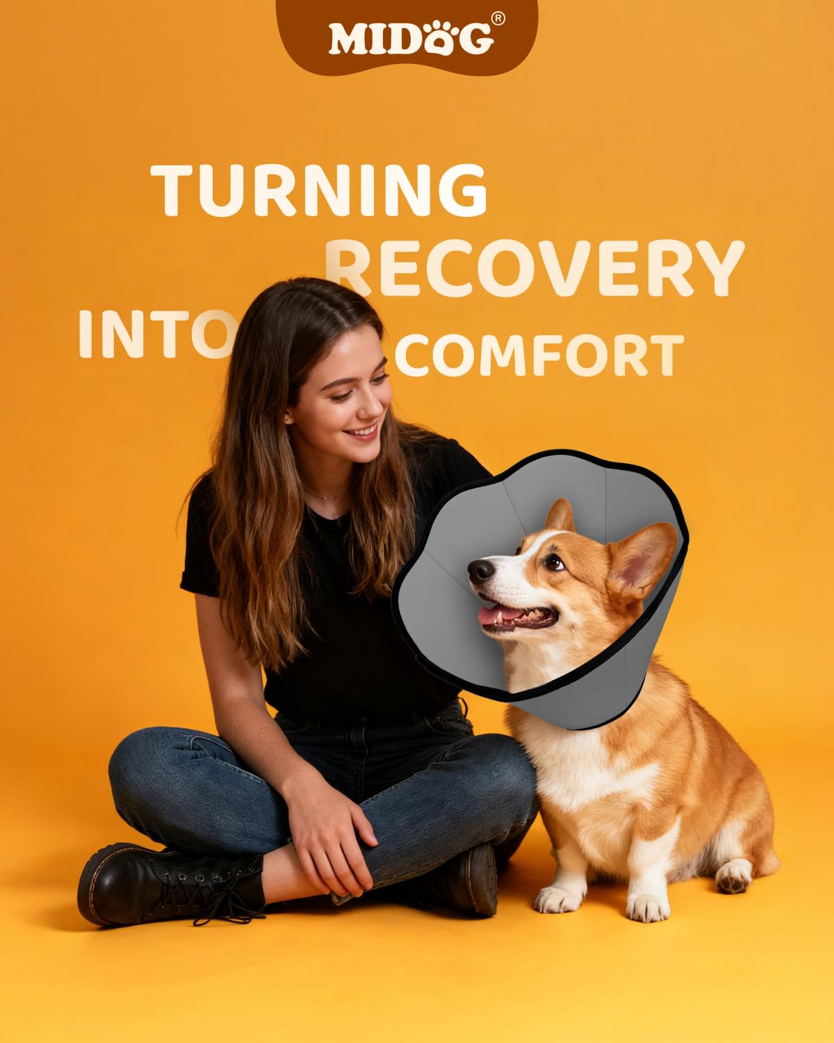 MIDOG chien reposant dans panier confort et convalescence apaisée