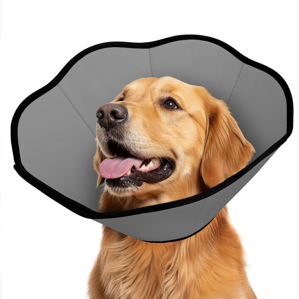 MIDOG collier vu de face montrant protection complète et confort