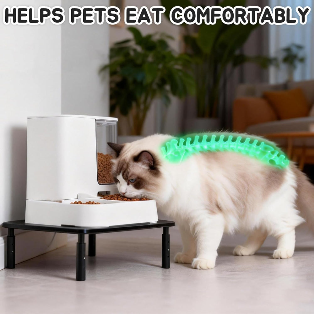 Midollarle comparaison taille avec chat pour visualiser échelle et ergonomie