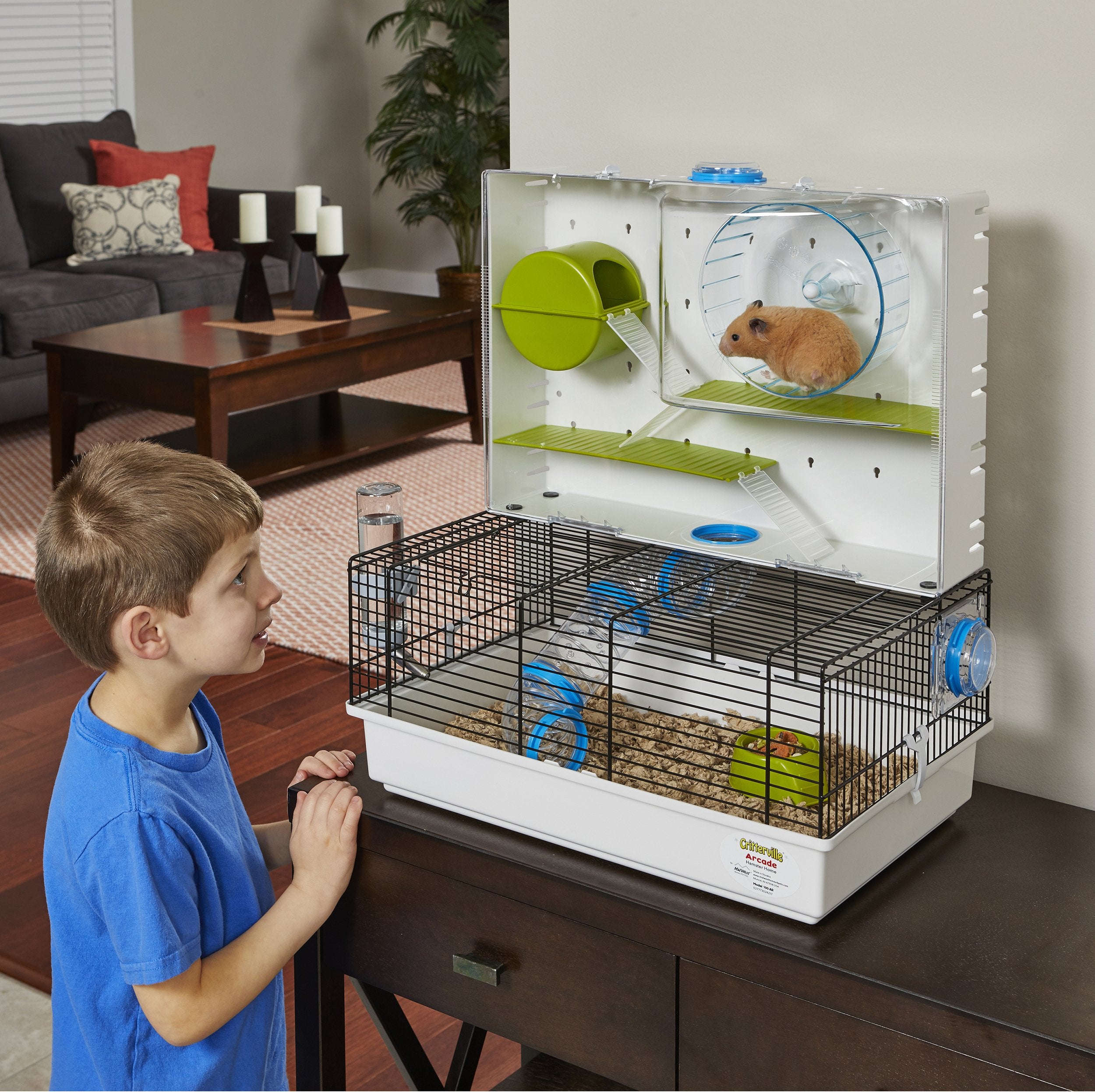 MidWest Homes for Pets échelle et nid démontrant confort et zones de repos