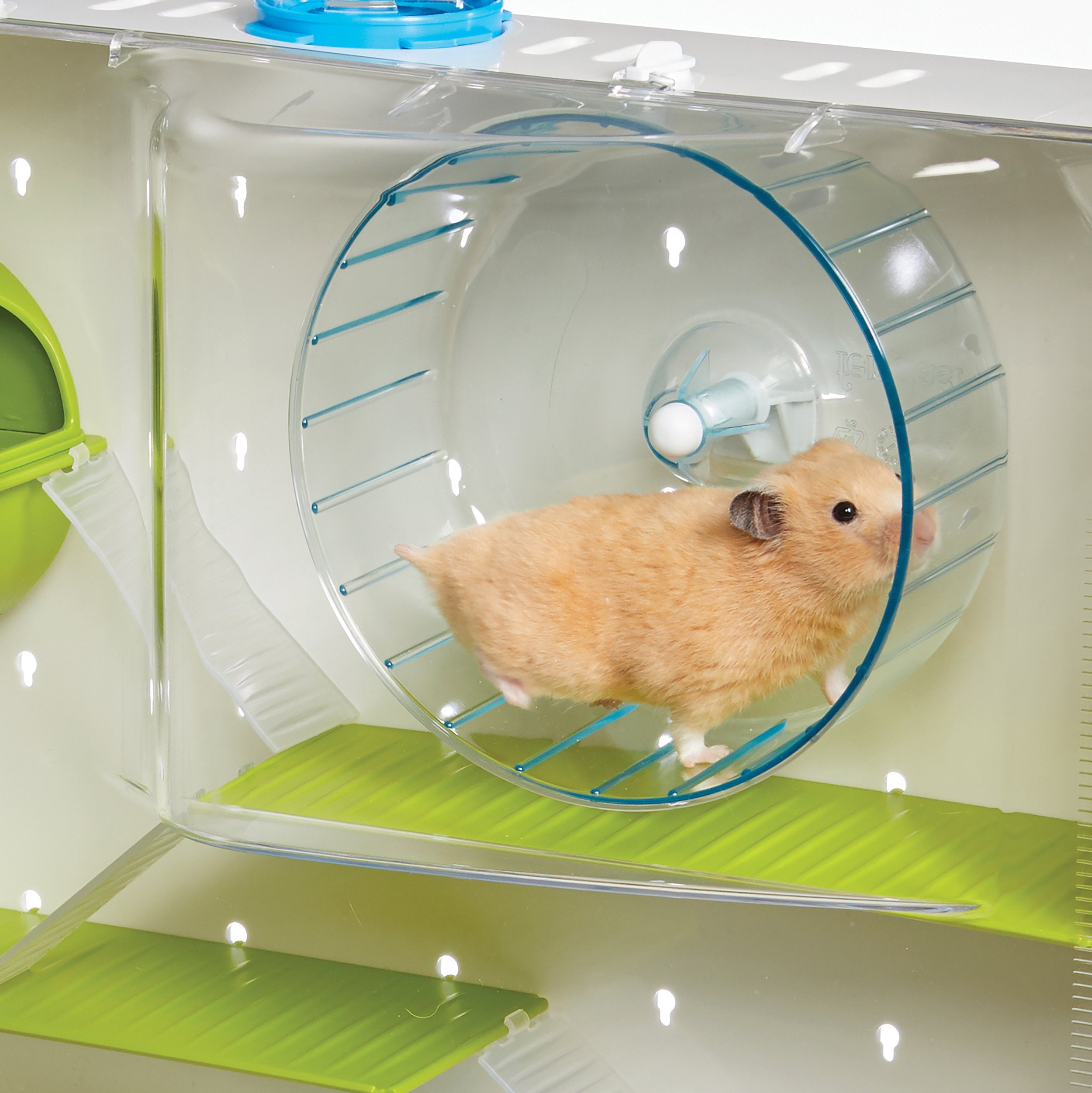 MidWest Homes for Pets porte supérieure offrant accès rapide au hamster